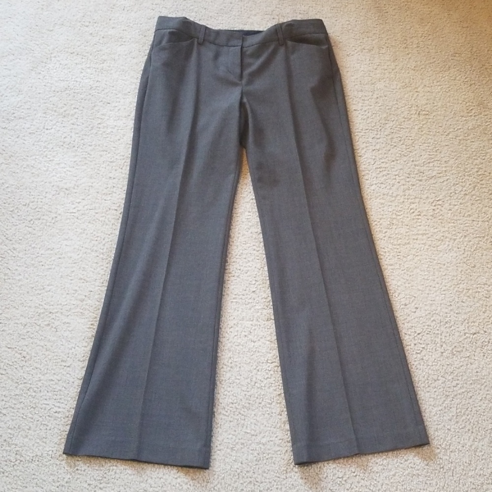 Express Design Studio Editor Pants
